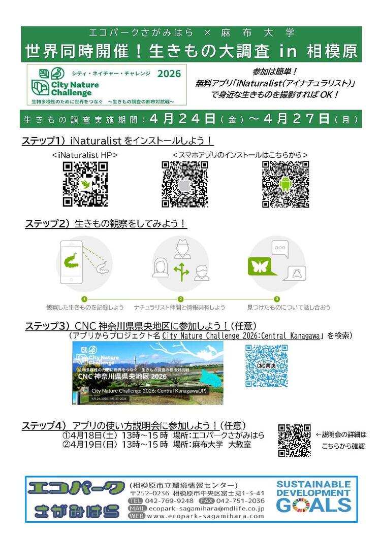 【チラシ】生きもの大調査in相模原.jpgのサムネイル画像