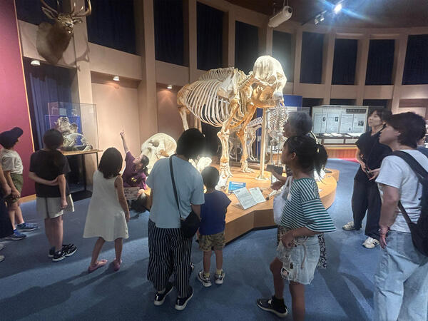 2026夏環-いのちの博物館01.JPG